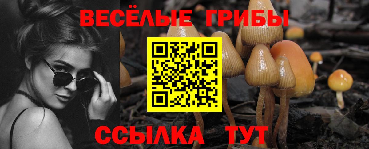 Галлюциногенные грибы Magic Shrooms Моршанск